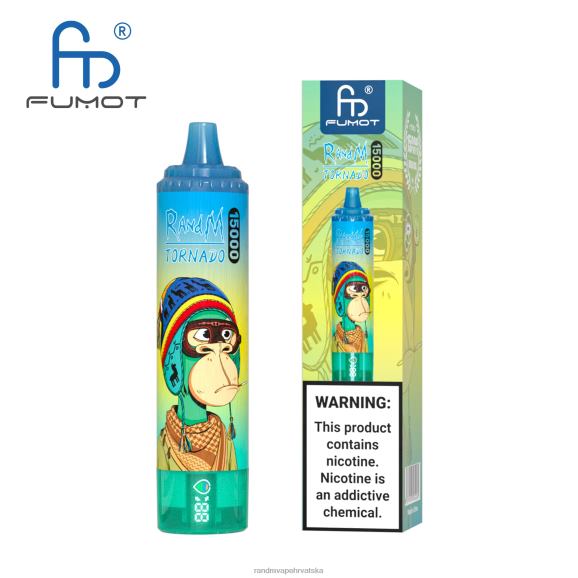 RandM Disposable Vape - Fumot RandM Tornado 15000 Vape uređaj s baterijom i zaslonom za ejuice verzija 1 N6ZTB27 led od grožđa