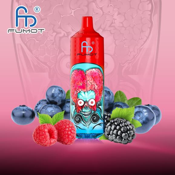 RandM Tornado Croatia - Fumot RandM Tornado 9000 pro vape uređaj s baterijom i ejuice zaslonom verzija 1 N6ZTB191 borovnica kisela malina